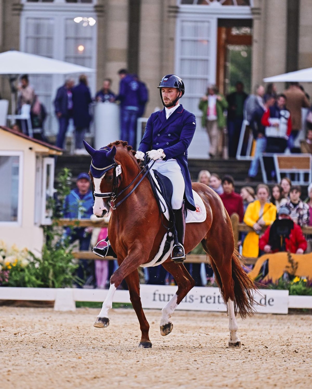 Antoine competing in tails on a chestnut horse at an international show