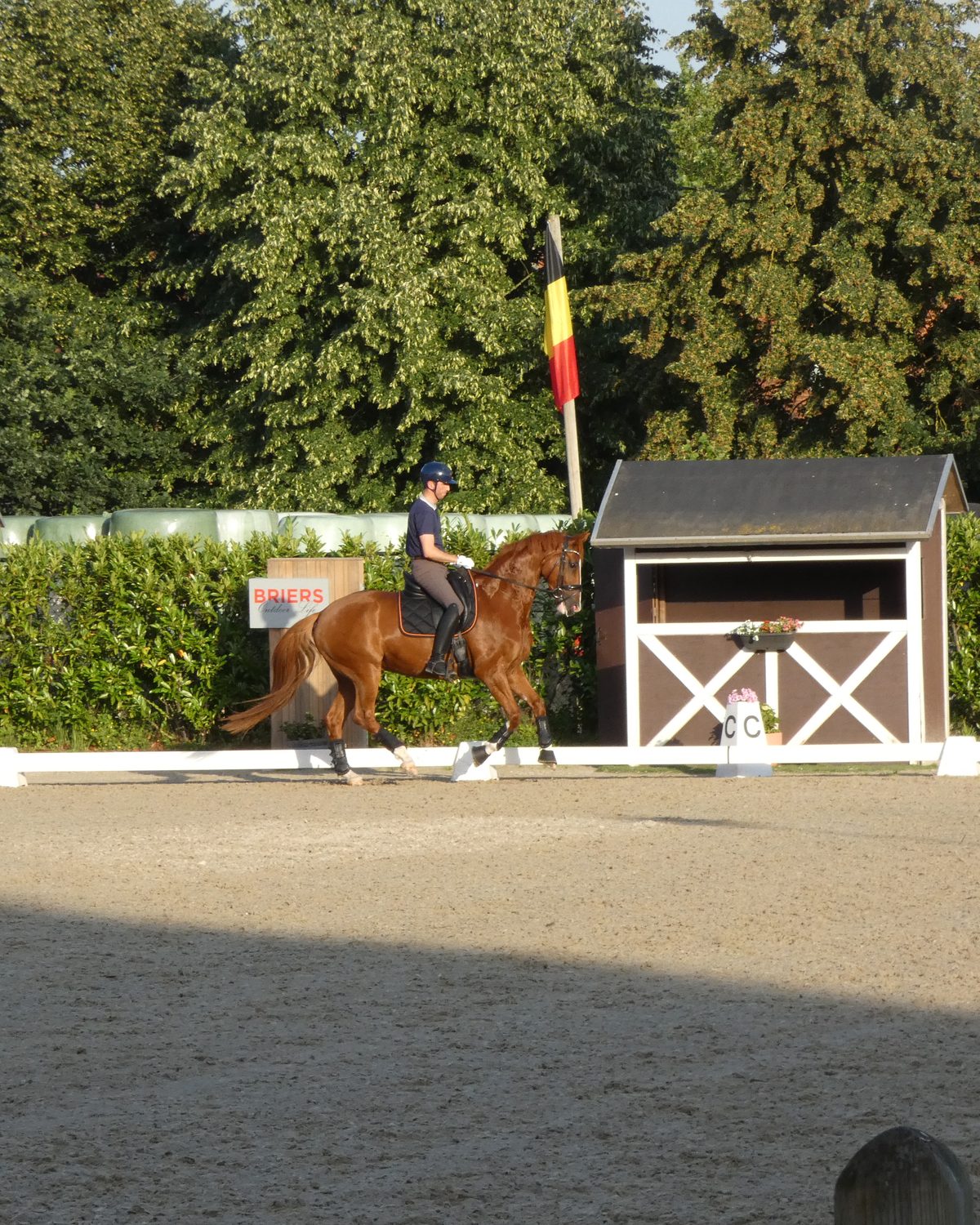 A horse and rider working at a show, framed by the judge's box and flag