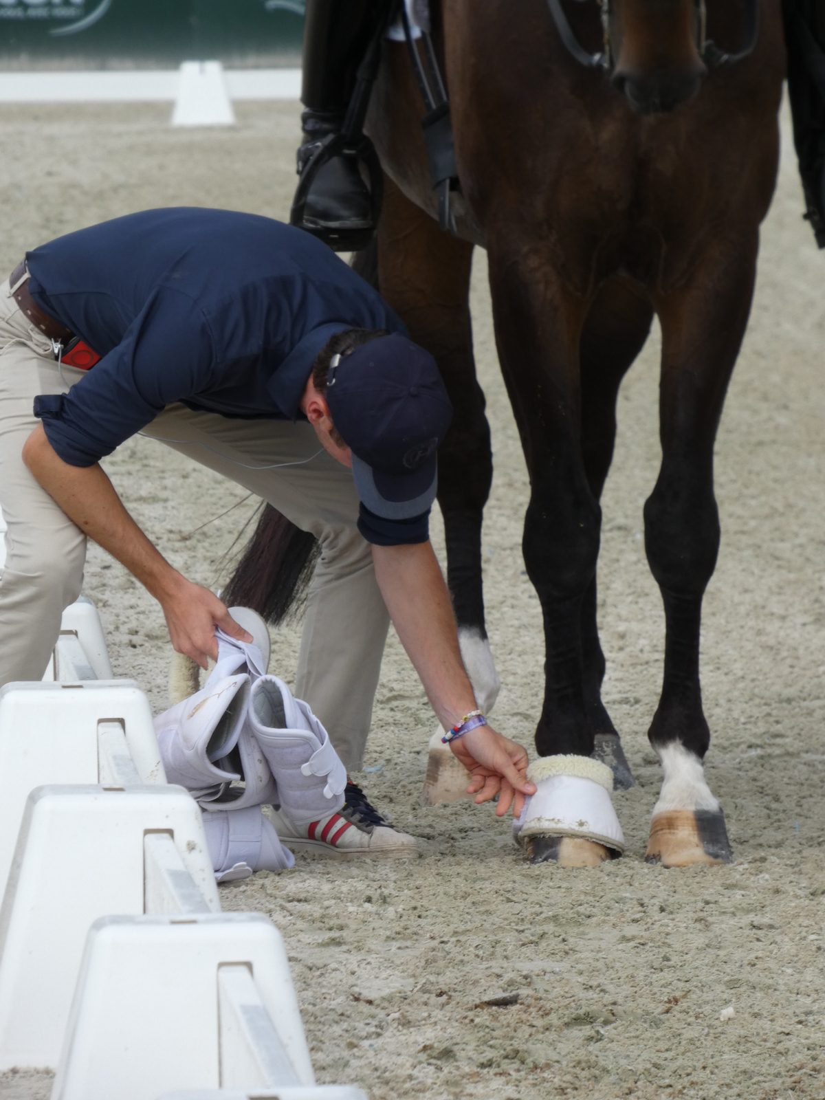 A trainer fitting protective boots to a horse at the arena edge